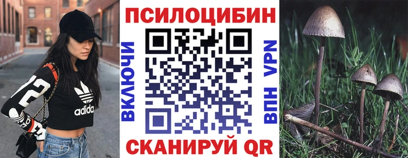 купить закладку  Агидель  Псилоцибиновые грибы прущие грибы 